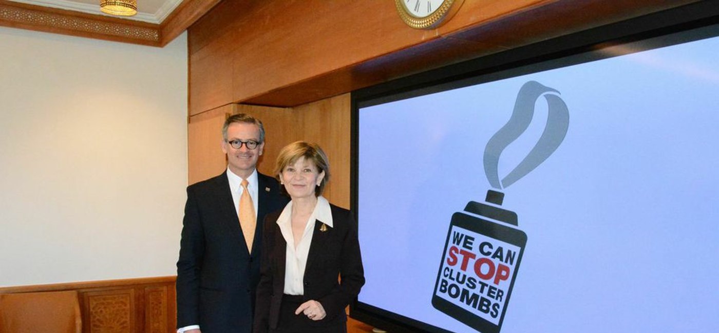 Pleština na sastanku Koordinacijskog odbora Konvencije o kazetnom streljivu u Ženevi